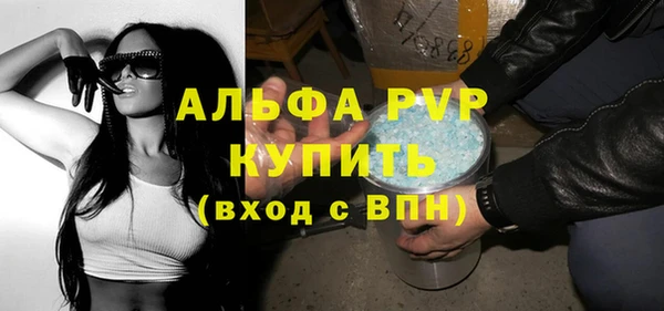 гашик Ладушкин
