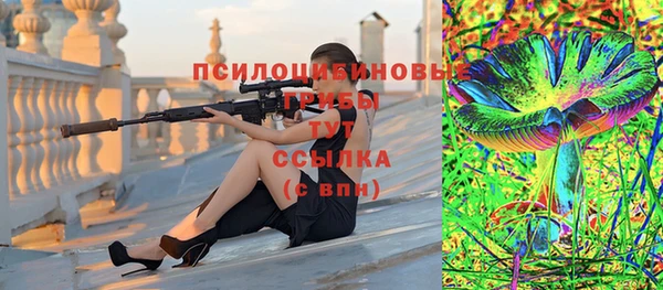 apvp Лагань