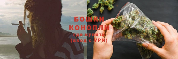гашик Ладушкин