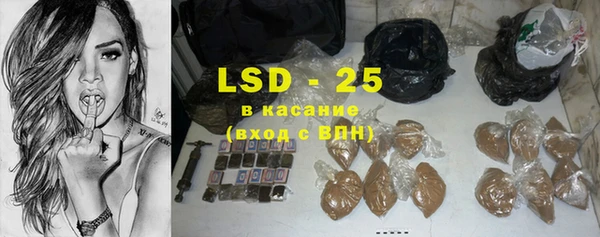 гашик Ладушкин