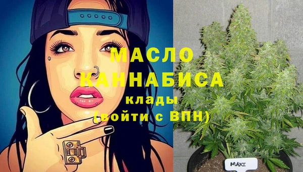 гашик Ладушкин