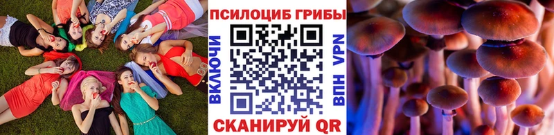 Псилоцибиновые грибы мухоморы  МЕГА зеркало  Мелеуз 