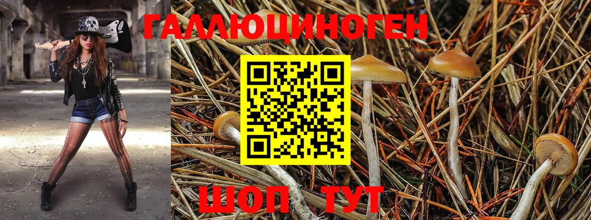 Галлюциногенные грибы мицелий Мелеуз